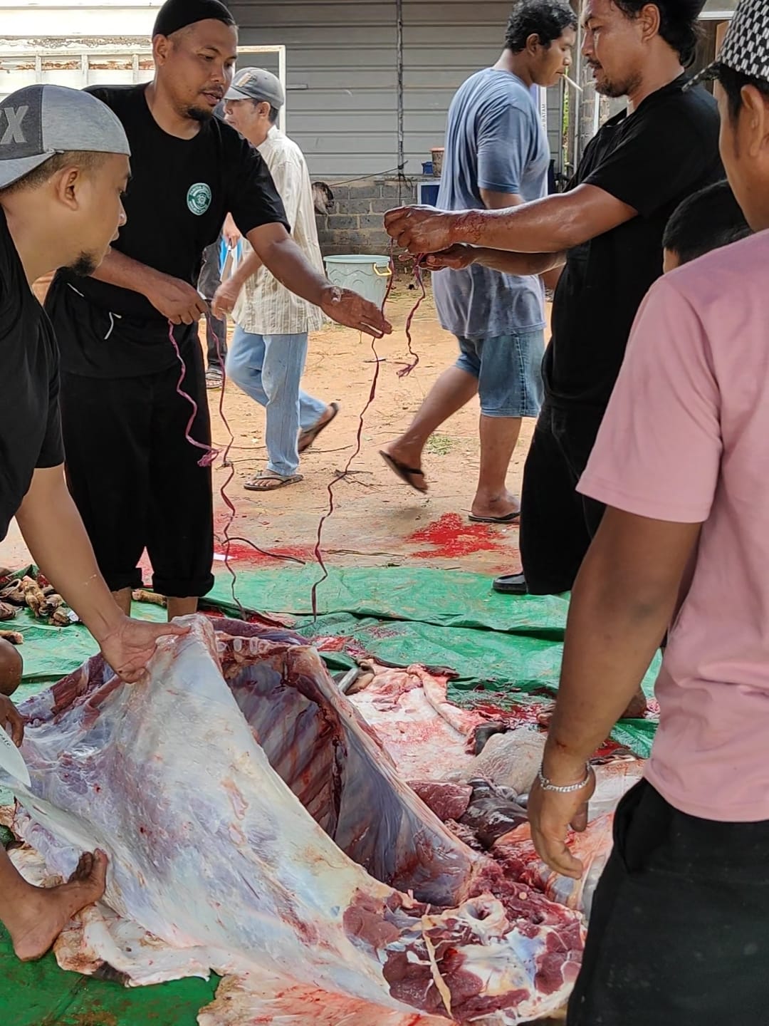 Galeri Qurban